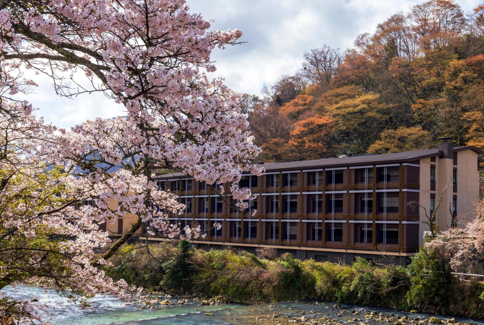 Hotel Indigo Hakone Gora By Ihg Esterno foto